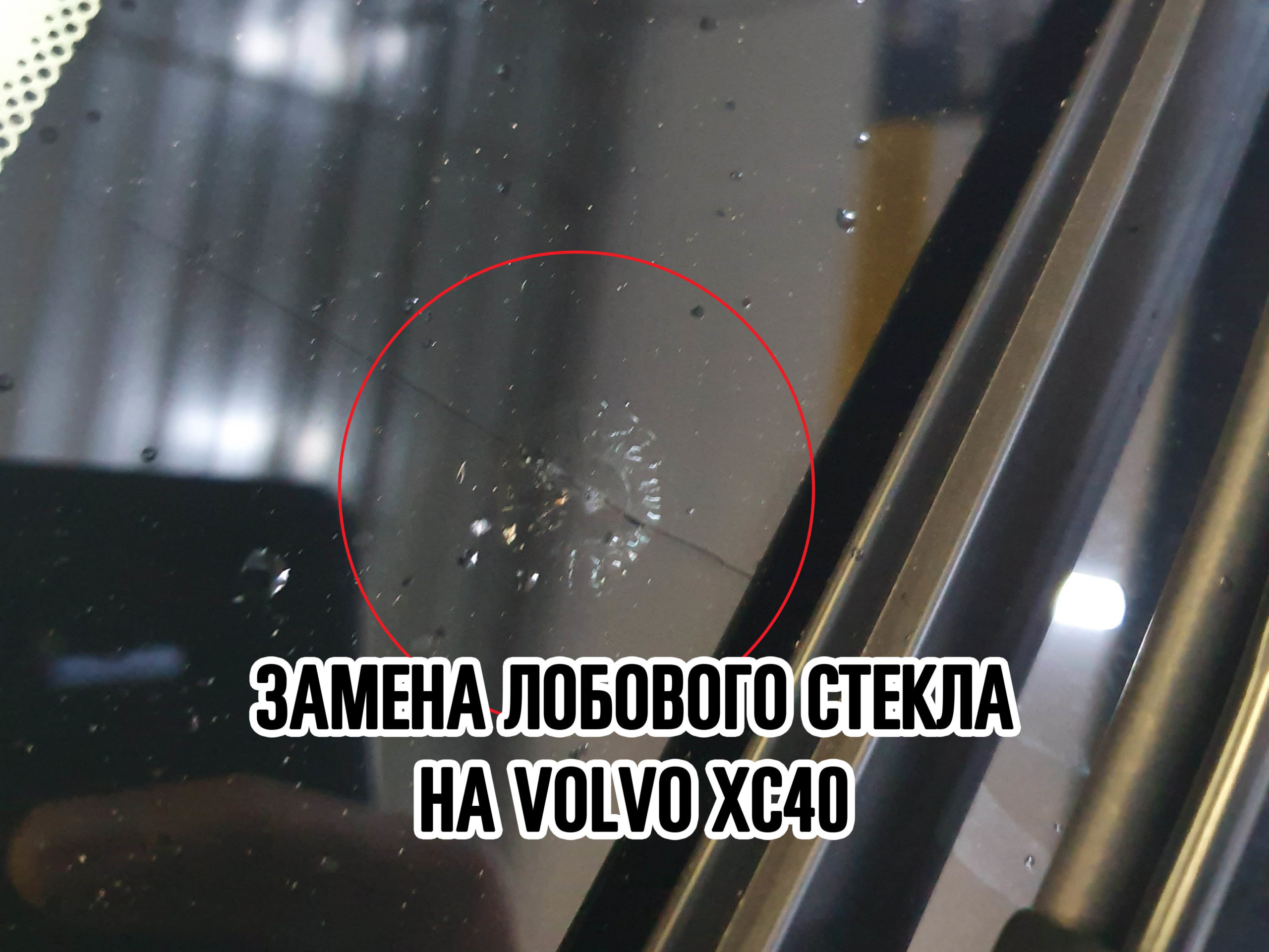 Лобовое стекло на Volvo XC40 купить и установить в Москве