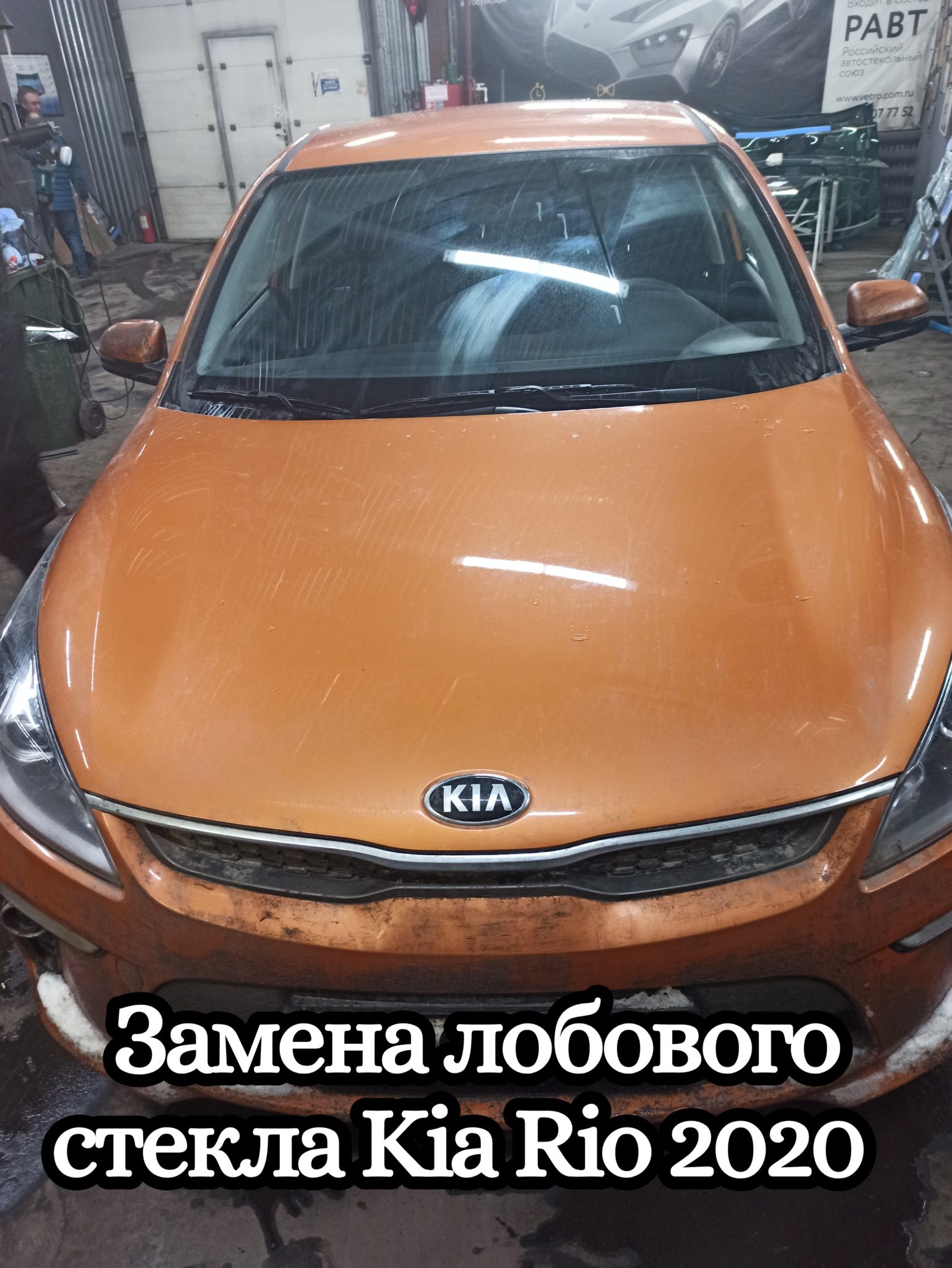 Лобовое стекло kia seltos